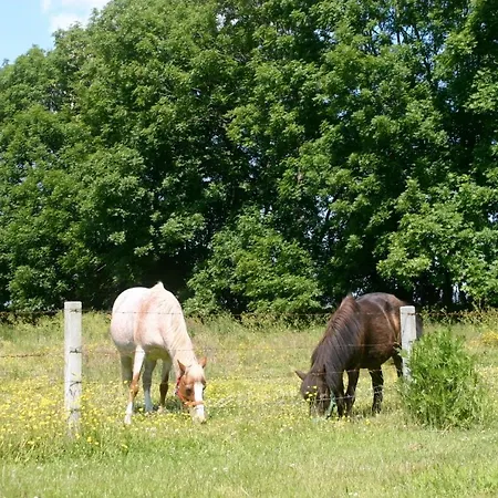 Ferienwohnung 1, Eg, Hof Zur Sonnenseite Fehmarn Sahrensdorf